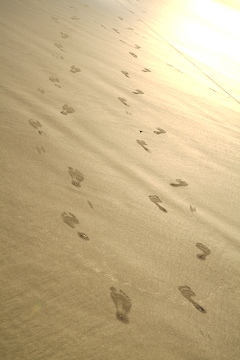 Lençóis Maranhenses