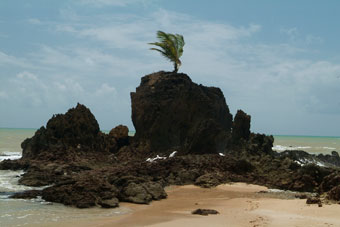 Praia de Tambaba